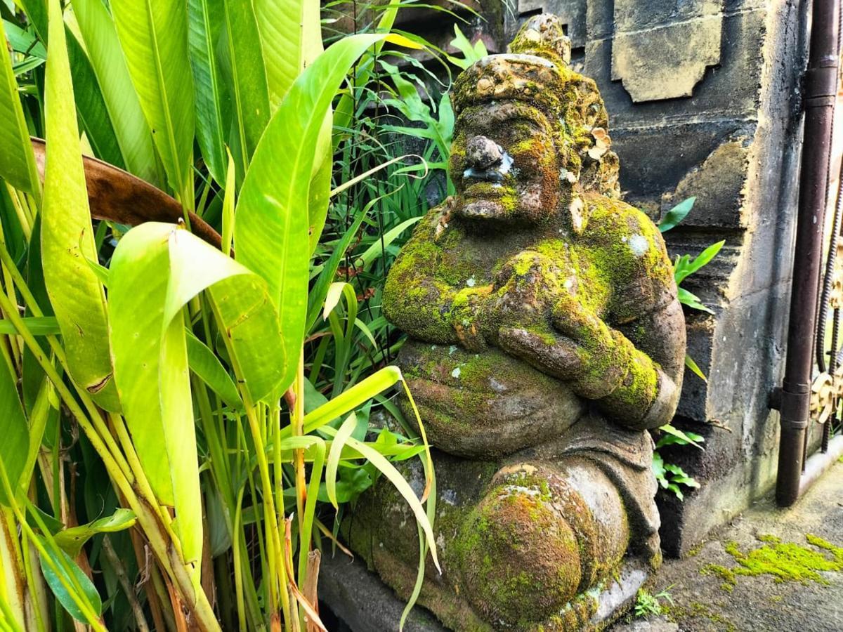 Ojek'S Homestay Ubud Kültér fotó